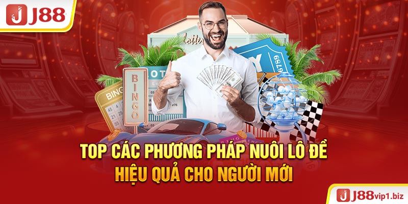 Top các phương pháp nuôi lô đề hiệu quả cho người mới