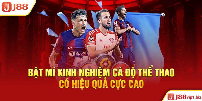 Bật Mí Kinh Nghiệm Cá Độ Thể Thao Có Hiệu Quả Cực Cao