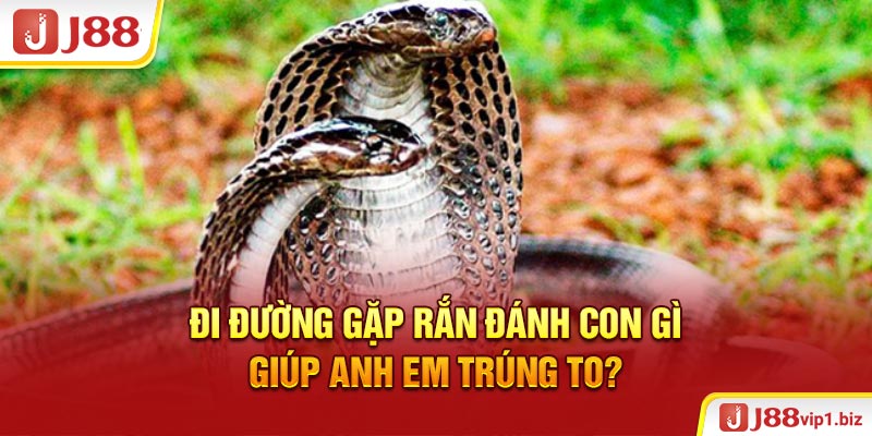 Đi đường gặp rắn đánh con gì giúp anh em trúng to?