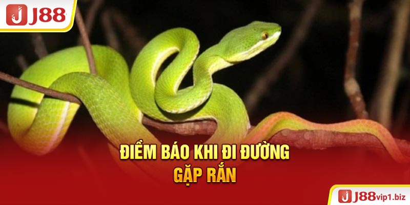 Điềm báo khi đi đường gặp rắn