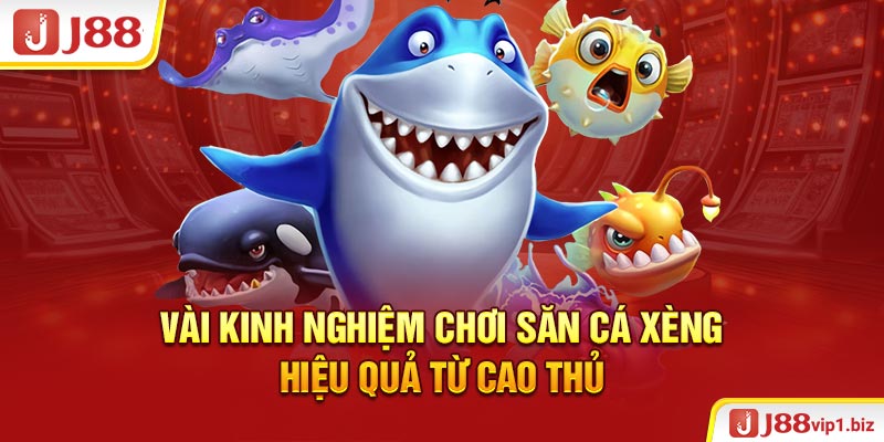 Vài kinh nghiệm chơi săn cá xèng hiệu quả từ cao thủ